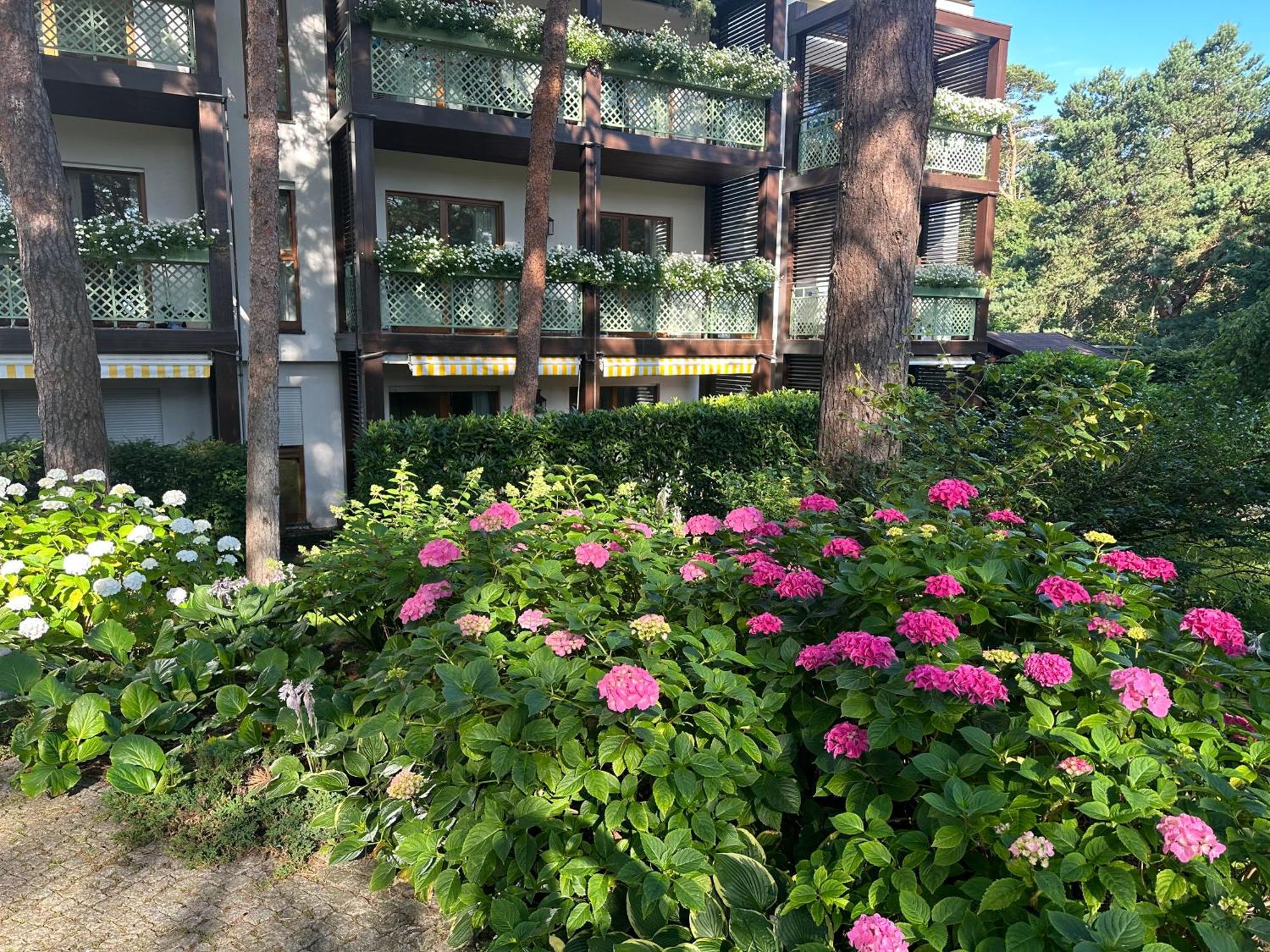 Apartament Bryza - Szczesliwa Dziewiatka Jurata Buitenkant foto